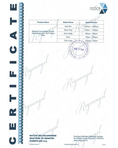 CE Certificate and Extension Letter of Reyoungel