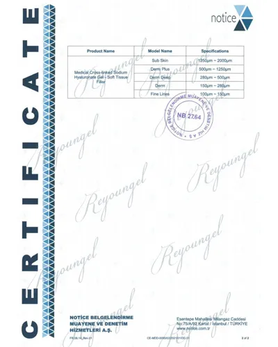 CE Certificate and Extension Letter of Reyoungel